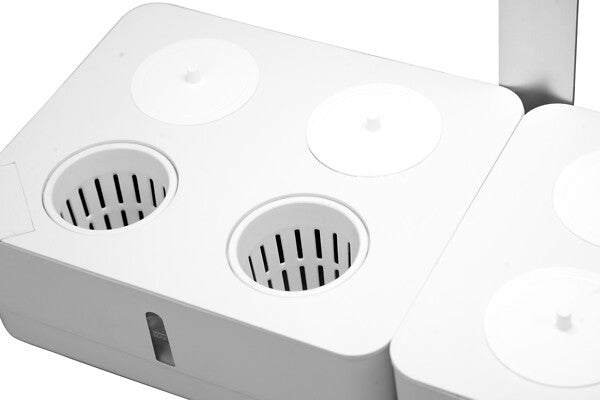 20W, 1450lm, Daisy, 3500K, IP20, LED Kasvivalaisin Airam
