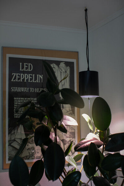 9.5W, 800lm, Fiora, 3500K, IP20, LED Kasvivalaisin Airam