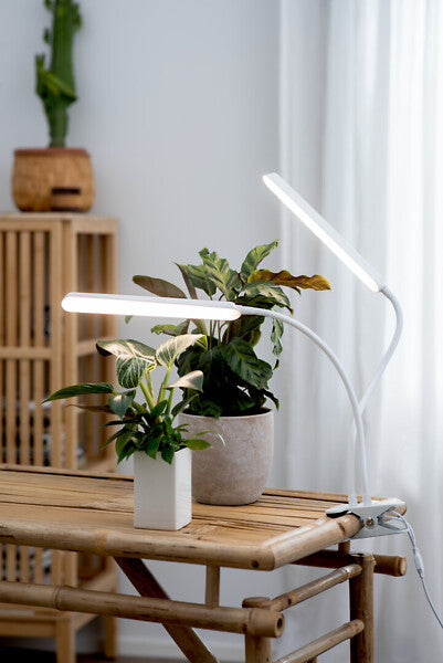 16W, 780lm, Tulip, 4000K, IP20, LED Plant Light Airam 