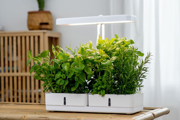 20W, 1450lm, Daisy, 3500K, IP20, LED Kasvivalaisin Airam