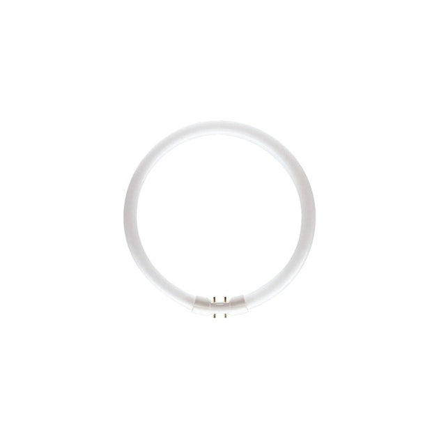 60W, 4800lm, 2GX13, 18x379mm, Ring-Leuchtstofflampe Patron