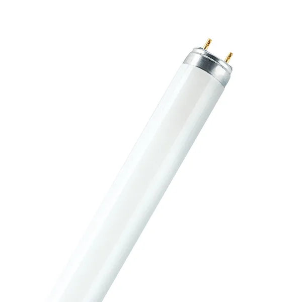 58W, 4100lm, T8 G13, 26x1500mm, Fluorescent tube Patron
